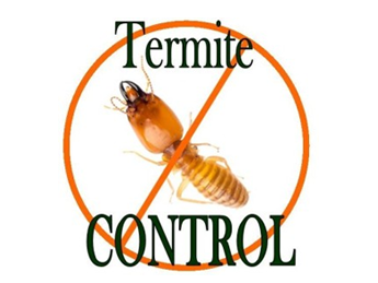 Termite Control